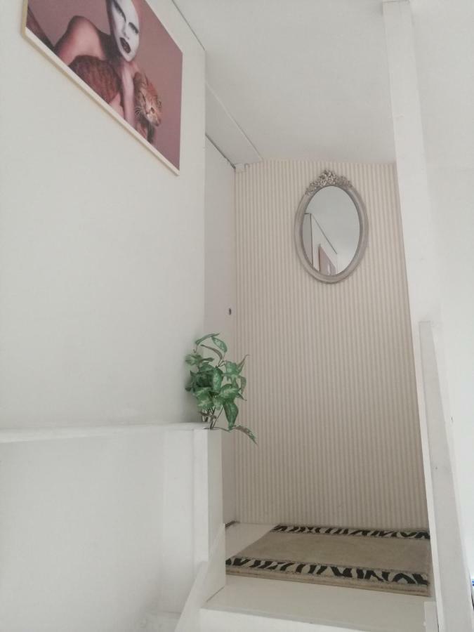 Helena Apartment Zaton  Ngoại thất bức ảnh